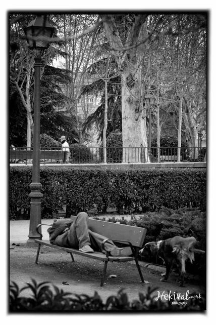 De la serie bancos