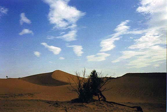 amanecer en el desierto 