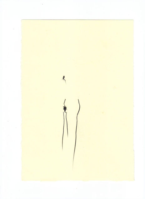 Desnudo 3