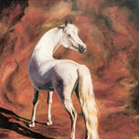 Animales thumbnail 2