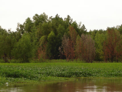 Paisaje San Pedro