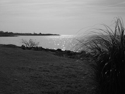 Costa Rio de la Plata