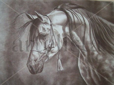 Caballo arabe