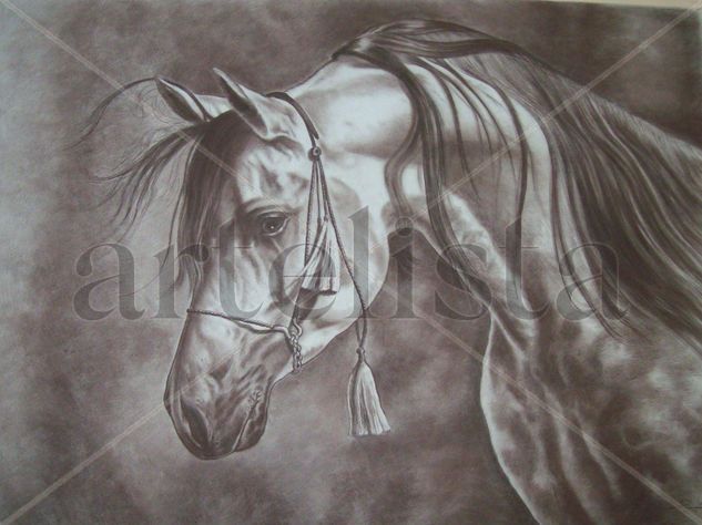 Caballo arabe Pastel Lienzo Animales