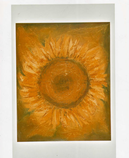 Girasol 1