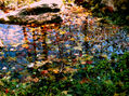 otoño