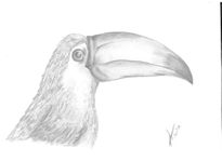 Tucan