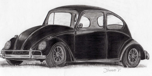 escarabajo negro