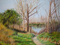 Camino al río