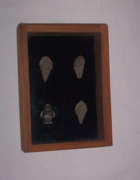 Evolucion