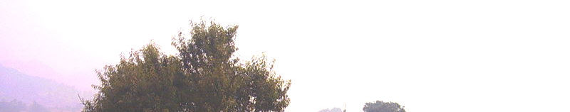 Imagen de portada