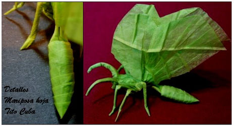 Mariposa hoja