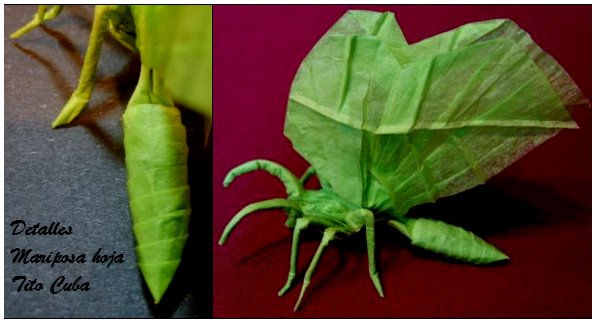 mariposa hoja
