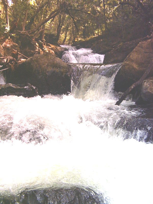 agua brava