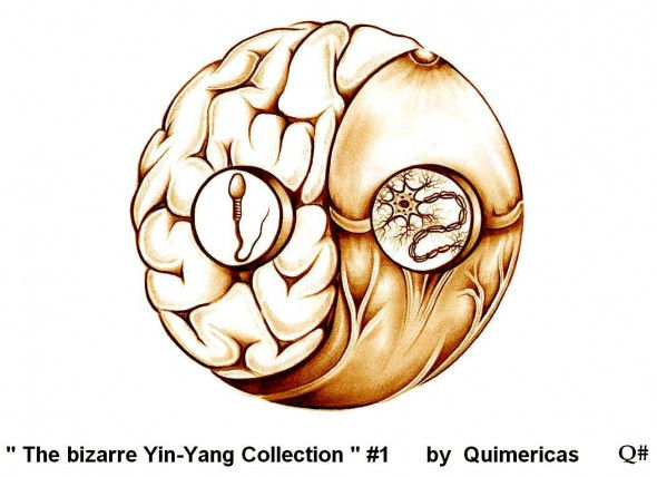 THE BIZARRE YIN YANG COLLECTION#1 