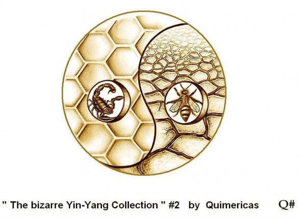 THE BIZARRE YIN YANG COLLECTION#2 