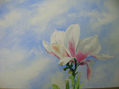 Flor Blanca