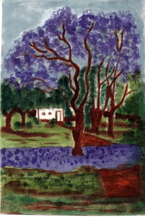 Jacarandá