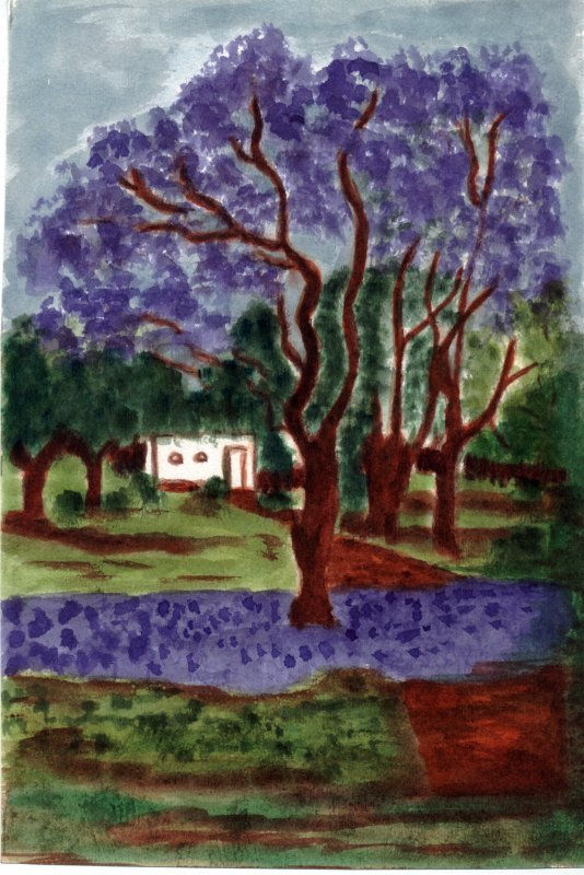 JACARANDÁ