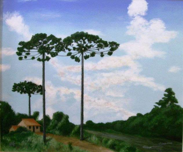 J06024 Paisagem com Araucárias