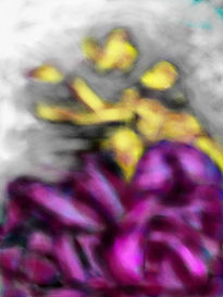 Amarant 2