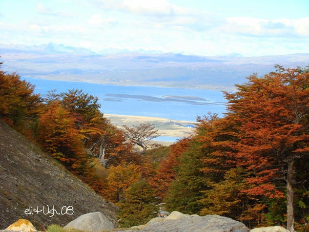 Canal de Beagle Naturaleza Color (Digital)