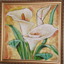 Callas lily