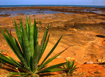 Chipiona (Cádiz)