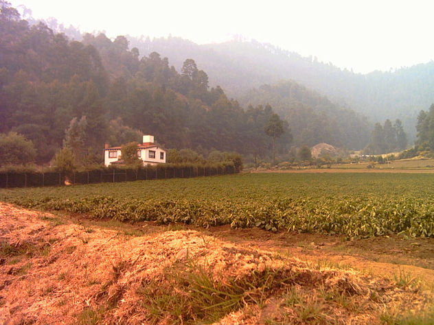 cabaña