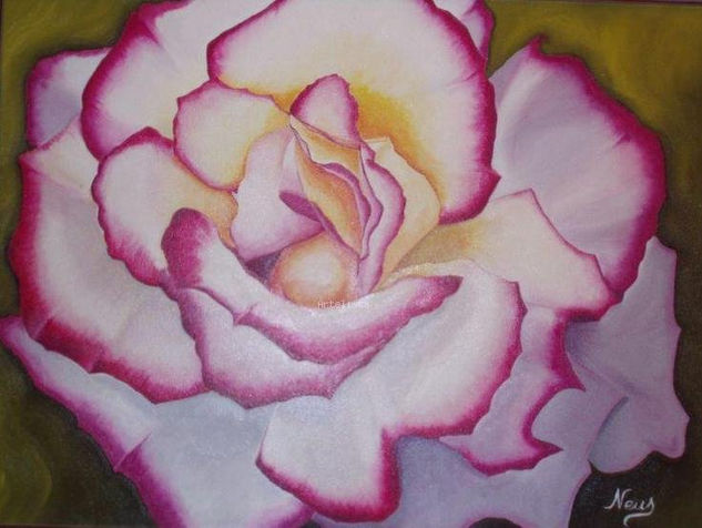 Rosa rosa Oil Canvas Floral Painting