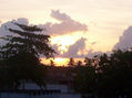 crepusculo