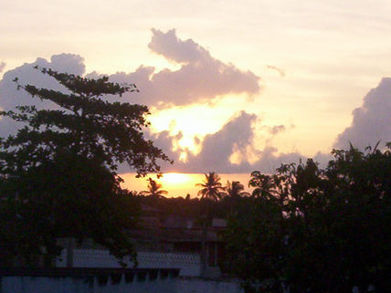 Crepusculo