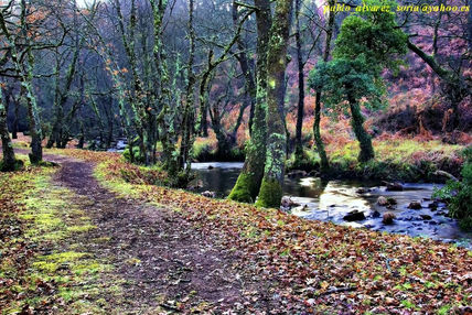 El otoño ha llegado