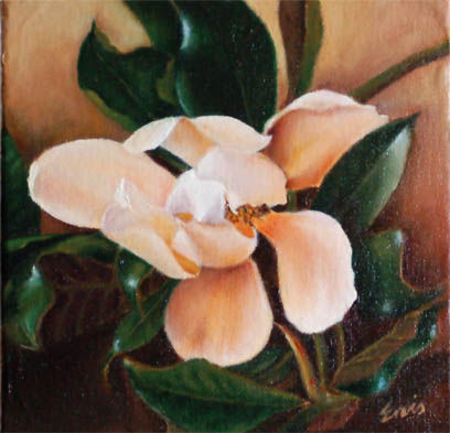 Magnolia 