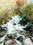 Río Cúa