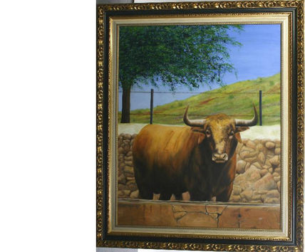 Toro coloraro de...