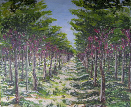 "Aromas de vendimia"