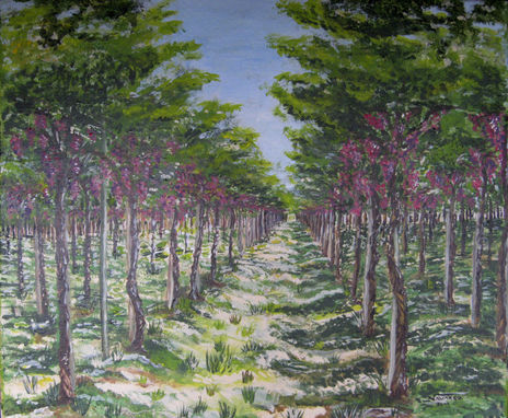 "Aromas de vendimia"