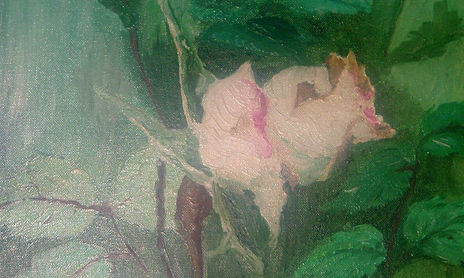 FLORES