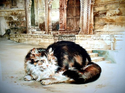 Gato persa 