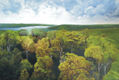 AMAZÔNIA