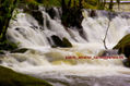 CASCADA
