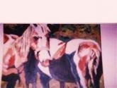 CABALLOS SALVAJES2 Acrylic Canvas Animals