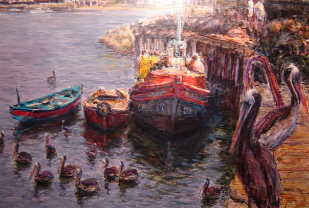 pelicanos en antofagasta