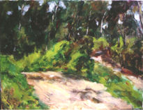 Camí