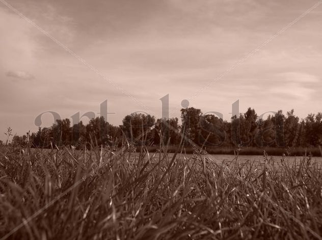 Donau