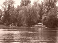 Barbacoa en el Donau