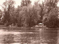 Barbacoa en el Donau