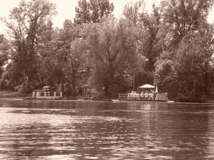 Barbacoa en el Donau