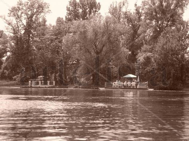 Barbacoa en el Donau 